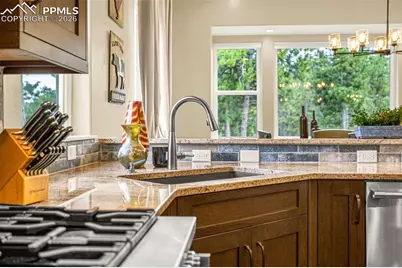 1325 Boldmere Court, Monument, CO 80132 - Photo 10