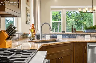 1325 Boldmere Ct, Monument, CO 80132 - Photo 10