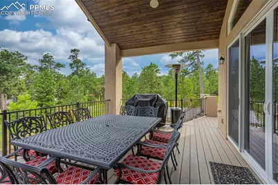 1325 Boldmere Court, Monument, CO 80132 - Photo 44