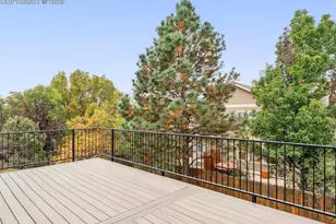 13648 Sweet Pea Pl, Colorado Springs, CO 80921 - Photo 8