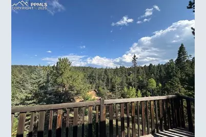 523 Spruce Lake Drive, Divide, CO 80814 - Photo 18