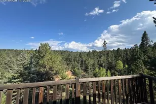 523 Spruce Lake Dr, Divide, CO 80814 - Photo 18