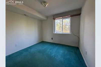 523 Spruce Lake Drive, Divide, CO 80814 - Photo 8