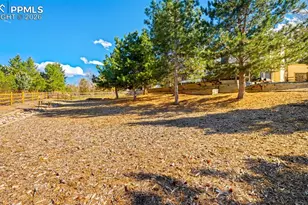 430 Picasso Ct, Colorado Springs, CO 80921 - Photo 38