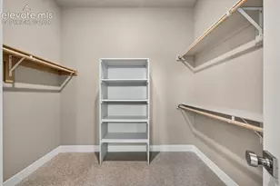 10131 Lake Arbor Ln, Colorado Springs, CO 80924 - Photo 28