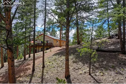185 Wildcat Creek Drive, Florissant, CO 80816 - Photo 2