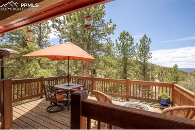 185 Wildcat Creek Drive, Florissant, CO 80816 - Photo 30