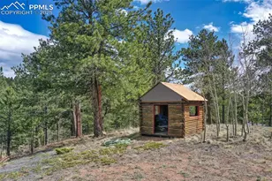 185 Wildcat Creek Dr, Florissant, CO 80816 - Photo 42