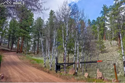 185 Wildcat Creek Drive, Florissant, CO 80816 - Photo 40
