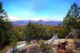 986 Apache Rd, Florissant, CO 80816 - Photo 50