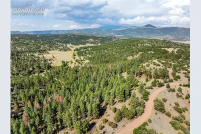 986 Apache Road, Florissant, CO 80816 - Photo 48