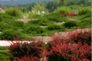 [Address not provided], Colorado Springs, CO 80903 - Photo 10