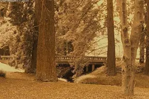 [Address not provided], Colorado Springs, CO 80903 - Photo 8