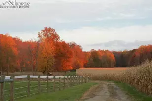 [Address not provided], Colorado Springs, CO 80903 - Photo 2