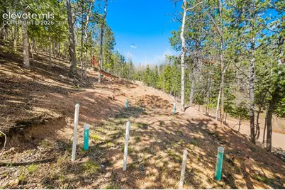 413 Wakanda Trail, Woodland Park, CO 80863 - Photo 4