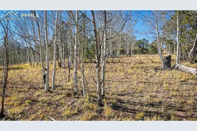 1343 Golden Cycle Circle, Cripple Creek, CO 80813 - Photo 40