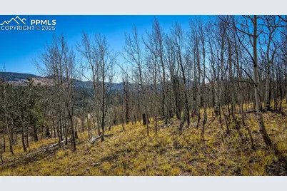 1343 Golden Cycle Circle, Cripple Creek, CO 80813 - Photo 32