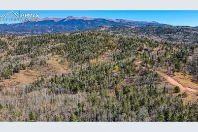 1343 Golden Cycle Circle, Cripple Creek, CO 80813 - Photo 24