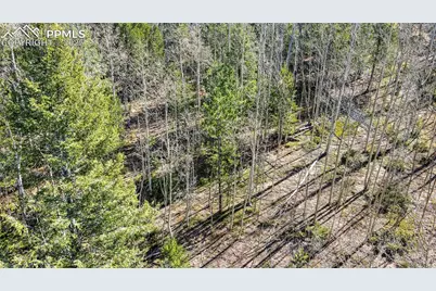 1343 Golden Cycle Circle, Cripple Creek, CO 80813 - Photo 26