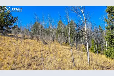 1343 Golden Cycle Circle, Cripple Creek, CO 80813 - Photo 28