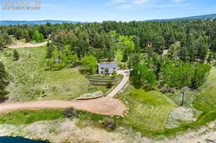 114 Lakewood Cir, Woodland Park, CO 80863 - Photo 28