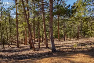 113 Schmittel Dr, Sedalia, CO 80135 - Photo 1