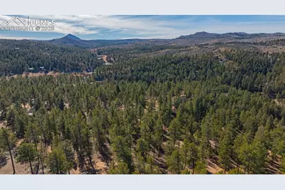 113 Schmittel Drive, Sedalia, CO 80135 - Photo 8