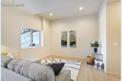 162 Kernite Lane, Divide, CO 80814 - Photo 22