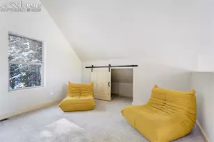 162 Kernite Ln, Divide, CO 80814 - Photo 18