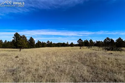20155 Saddle Blanket Lane, Peyton, CO 80831 - Photo 6