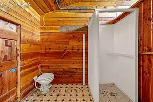 69 Snowberry Creek Rd, Florissant, CO 80816 - Photo 8