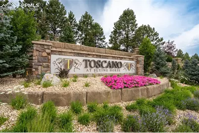 1575 Vine Cliff Heights, Colorado Springs, CO 80921 - Photo 48