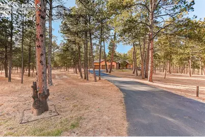 14994 Snowy Pine Point, Colorado Springs, CO 80908 - Photo 34