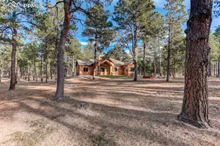 14994 Snowy Pine Point, Colorado Springs, CO 80908 - Photo 32