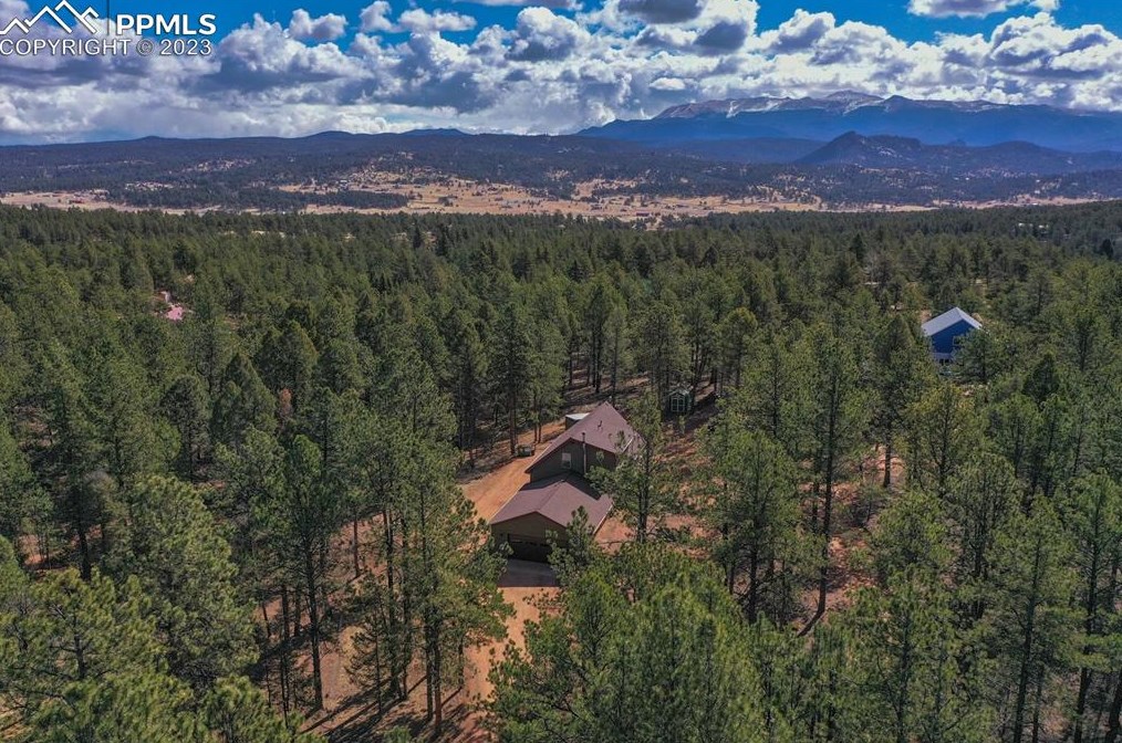 168 Rainier Dr, Twin Rock, CO 80816