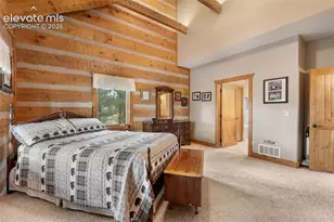567 Co Rd 31, Florissant, CO 80816 - Photo 26