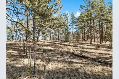Lot 20 Echo Lake Drive, Lake George, CO 80827 - Photo 2