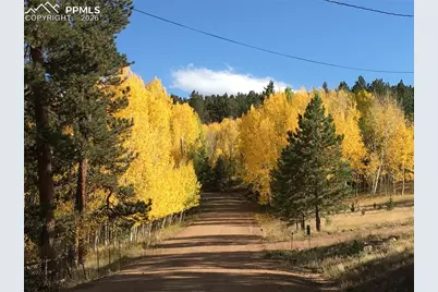 Lot 20 Echo Lake Drive, Lake George, CO 80827 - Photo 4