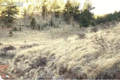 637 Valley Road, Divide, CO 80814 - Photo 1