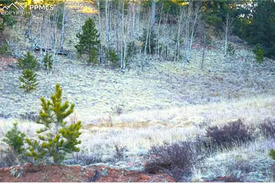 637 Valley Road, Divide, CO 80814 - Photo 4