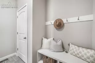 16267 Thunder Cat Wy, Monument, CO 80132 - Photo 18