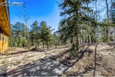 140 Wrangler Creek Circle, Florissant, CO 80816 - Photo 30