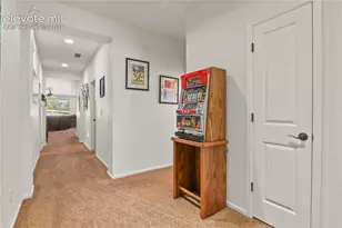 3921 John Ct, Castle Rock, CO 80104 - Photo 4