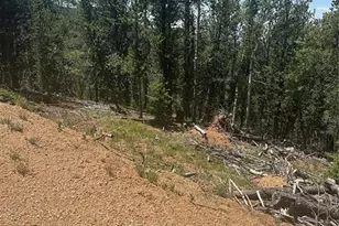 110 Brown Bear Ln, Cripple Creek, CO 80816 - Photo 1