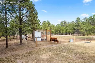 17521 Abert Ridge View, Colorado Springs, CO 80908 - Photo 6