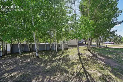 924 Spruce Haven Drive, Woodland Park, CO 80863 - Photo 34