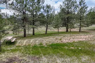 330 Arrowhead Dr, Florissant, CO 80816 - Photo 26