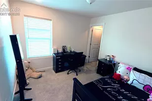 6940 Peachleaf Dr, Colorado Springs, CO 80925 - Photo 20