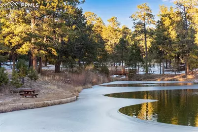 16075 Winding Trail Road, Colorado Springs, CO 80908 - Photo 42