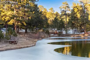 16075 Winding Trail Rd, Colorado Springs, CO 80908 - Photo 42